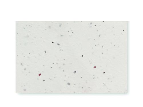 Vadvirág magpapír névjegykártya.